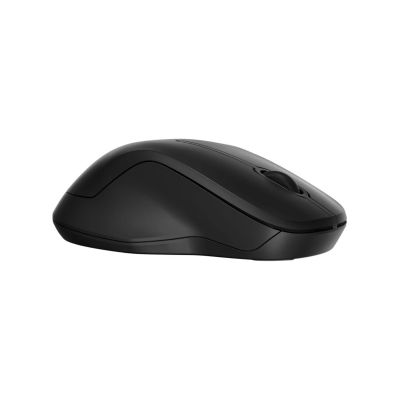 HP 255 Dual Wireless Mouse