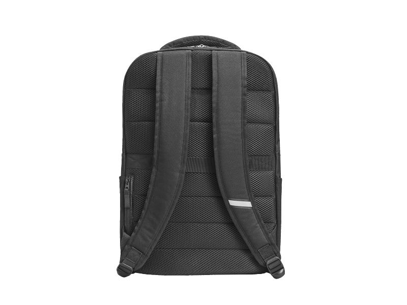 HP Professional 17.3" Notebook Backpack