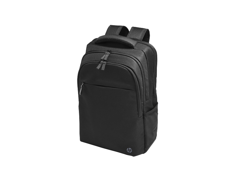 HP Professional 17.3" Notebook Backpack
