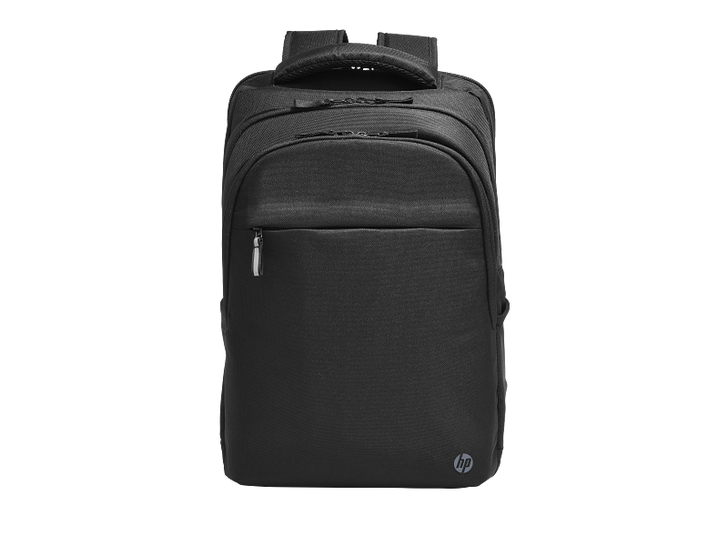 HP Professional 17.3" Notebook Backpack